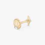 Seashell de titanio