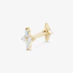 Flora de titanio