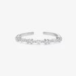 Anillo Polar