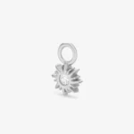 Charm halo