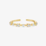 Anillo Polar