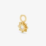 Charm halo